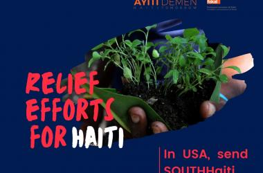 FOKAL Haiti Relief : Support for organizations in the Southern Peninsula of Haiti